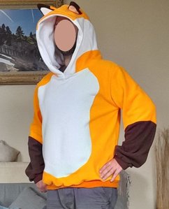 hoodie renard 2