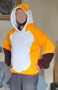 hoodie renard 3