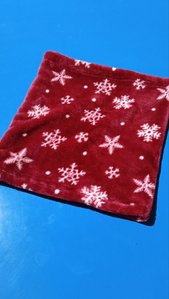 t c noel 1
